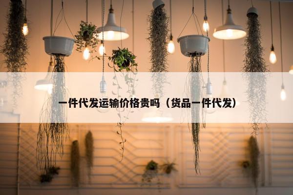 一件代发运输价格贵吗(货品一件代发)