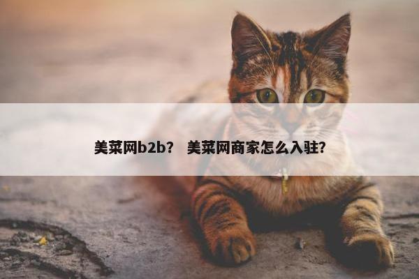 美菜网b2b? 美菜网商家怎么入驻?