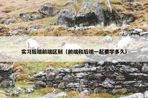 实习后端前端区别（前端和后端一起要学多久）