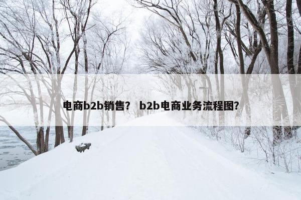 电商b2b销售? b2b电商业务流程图?