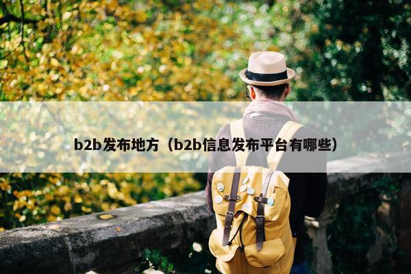 b2b发布地方(b2b信息发布平台有哪些)