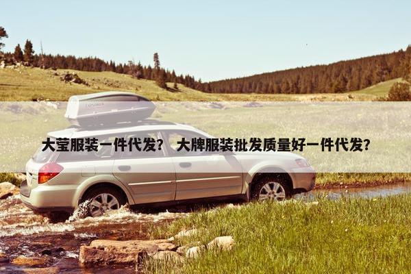 大莹服装一件代发？ 大牌服装批发质量好一件代发？
