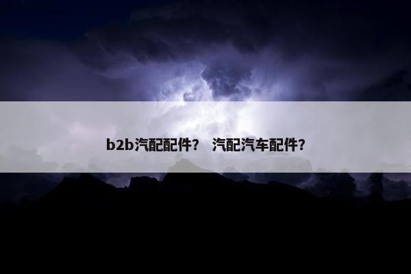 b2b汽配配件? 汽配汽车配件?