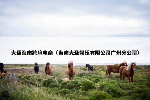 大圣海南跨境电商（海南大圣娱乐有限公司广州分公司）