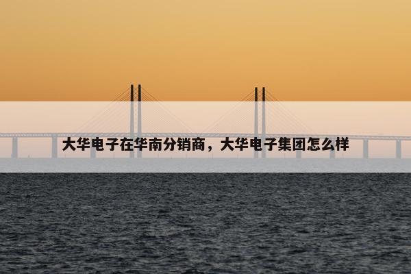 大华电子在华南分销商，大华电子集团怎么样