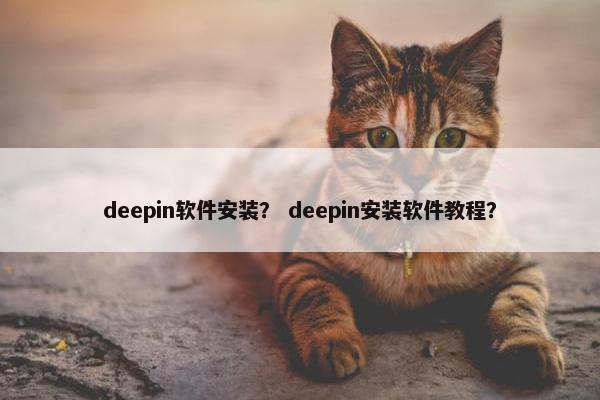 deepin软件安装？ deepin安装软件教程？