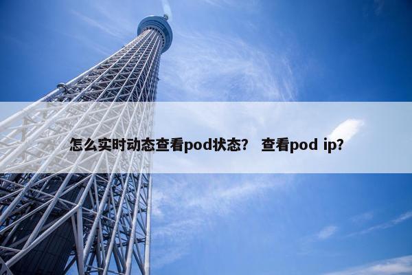 怎么实时动态查看pod状态？ 查看pod ip？