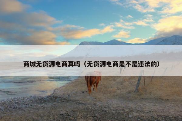 商城无货源电商真吗(无货源电商是不是违法的)