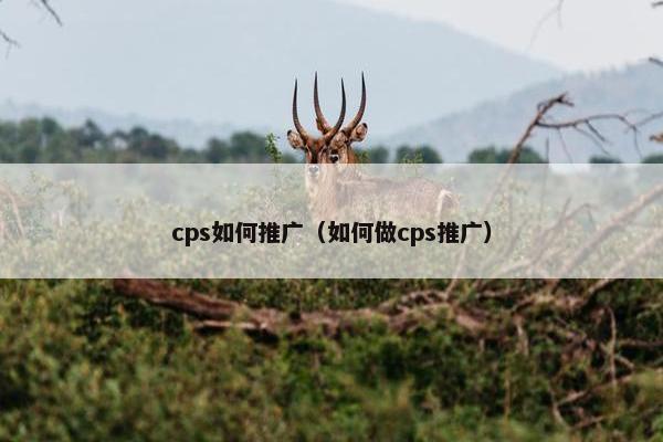 cps如何推广（如何做cps推广）