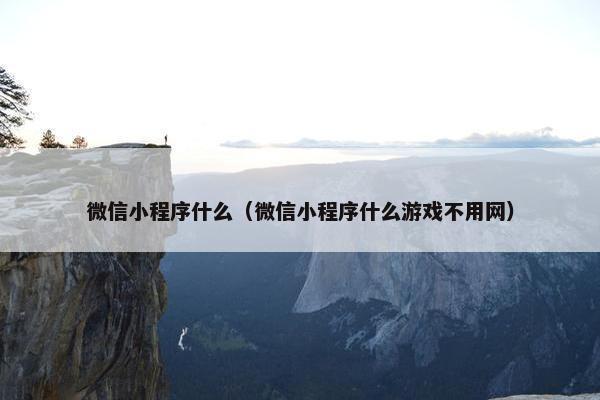 微信小程序什么（微信小程序什么游戏不用网）