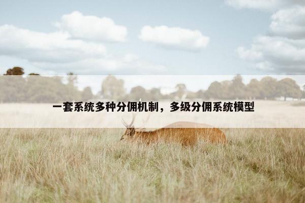 一套系统多种分佣机制，多级分佣系统模型