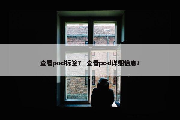 查看pod标签？ 查看pod详细信息？