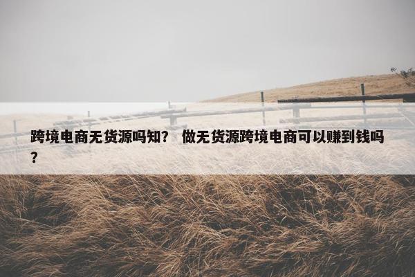 跨境电商无货源吗知? 做无货源跨境电商可以赚到钱吗? 跨境电商无货源吗知? 做无货源跨境电商可以赚到钱吗?