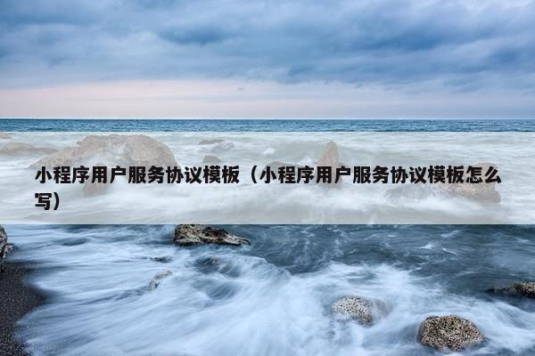 小程序用户服务协议模板(小程序用户服务协议模板怎么写)