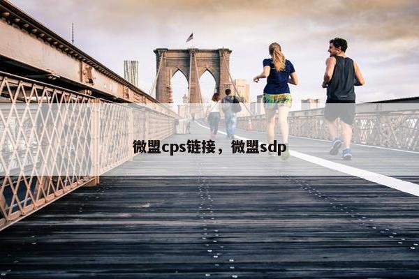 微盟cps链接，微盟sdp