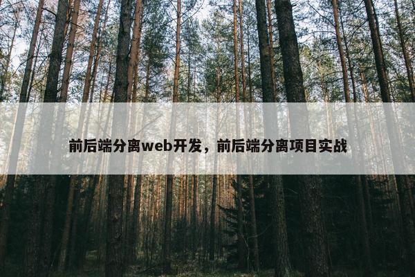 前后端分离web开发，前后端分离项目实战