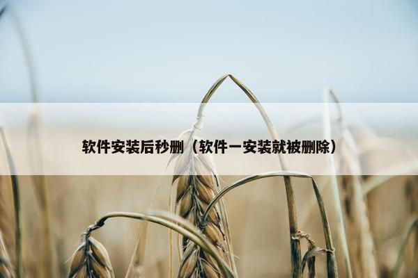 软件安装后秒删(软件一安装就被删除)
