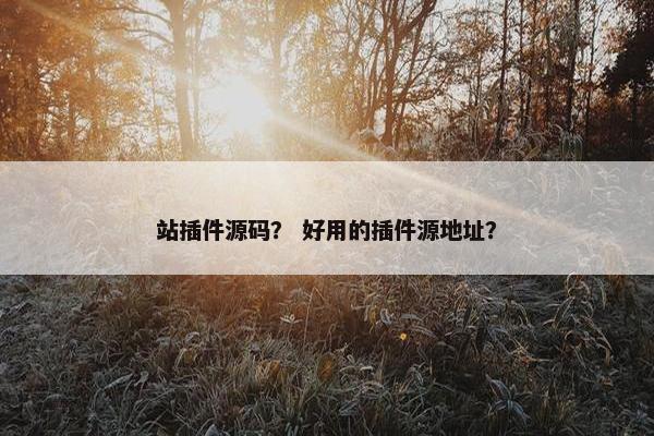 站插件源码? 好用的插件源地址?