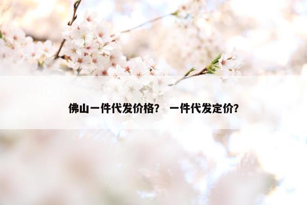 佛山一件代发价格？ 一件代发定价？