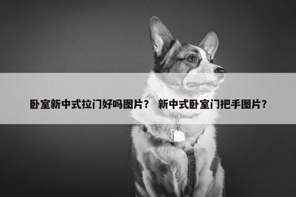 卧室新中式拉门好吗图片？ 新中式卧室门把手图片？