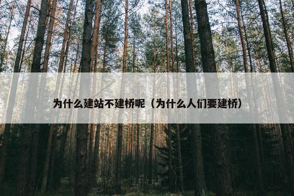为什么建站不建桥呢（为什么人们要建桥）