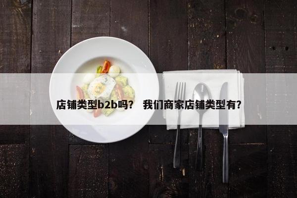 店铺类型b2b吗？ 我们商家店铺类型有？