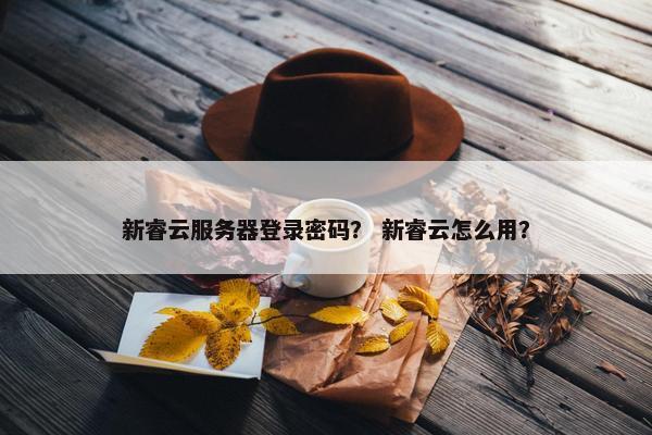 新睿云服务器登录密码？ 新睿云怎么用？