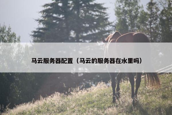 马云服务器配置（马云的服务器在水里吗）