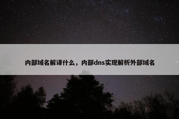 内部域名解译什么，内部dns实现解析外部域名