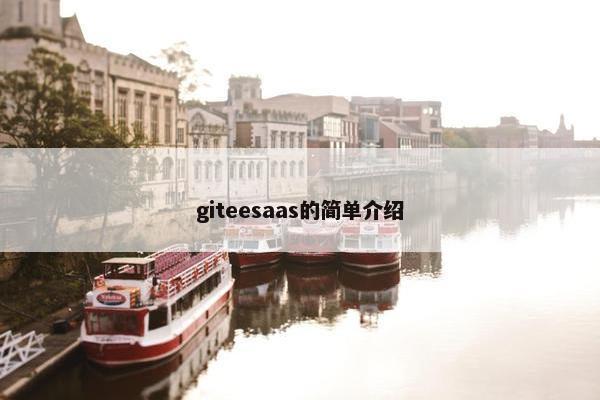 giteesaas的简单介绍