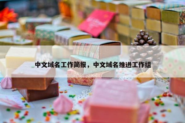 中文域名工作简报，中文域名推进工作组