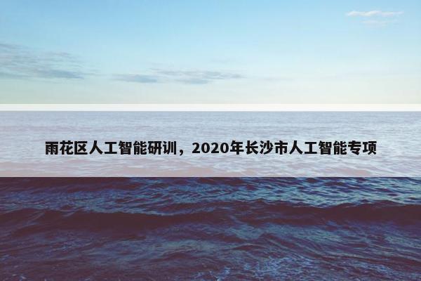 雨花区人工智能研训，2020年长沙市人工智能专项