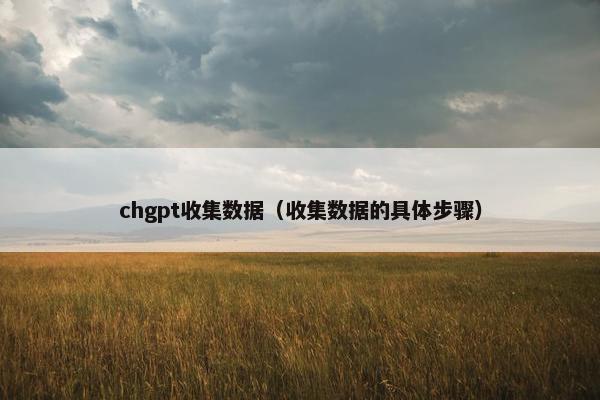 chgpt收集数据（收集数据的具体步骤）