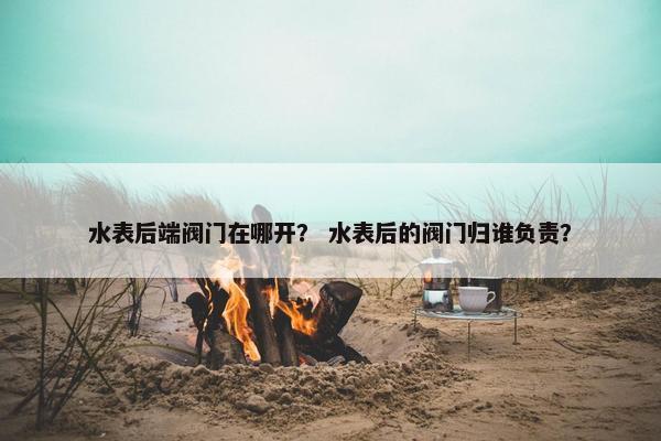 水表后端阀门在哪开？ 水表后的阀门归谁负责？