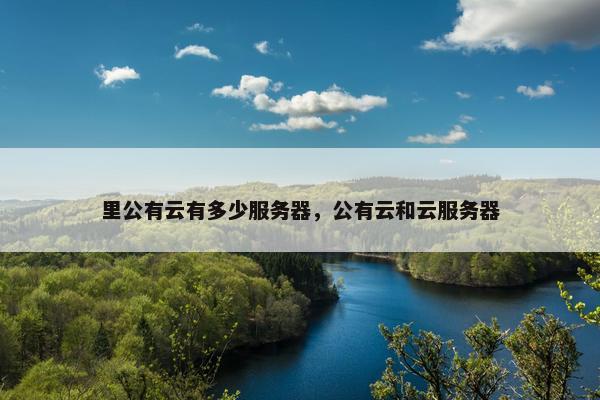 里公有云有多少服务器，公有云和云服务器