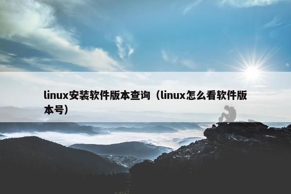 linux安装软件版本查询（linux怎么看软件版本号）