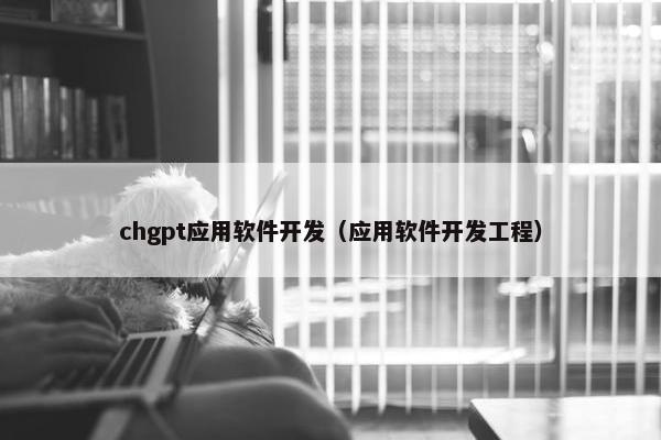 chgpt应用软件开发（应用软件开发工程）