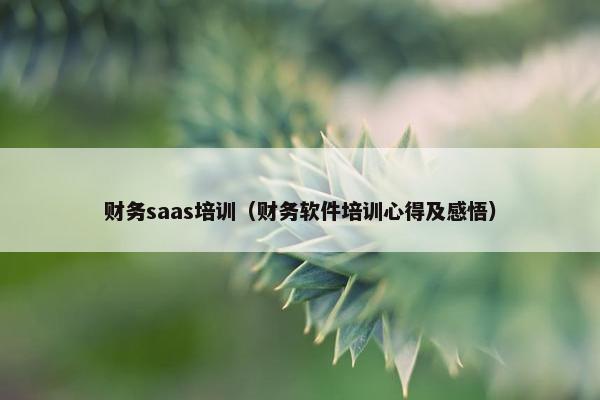 财务saas培训（财务软件培训心得及感悟）