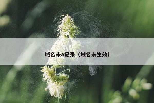 域名未a记录（域名未生效）