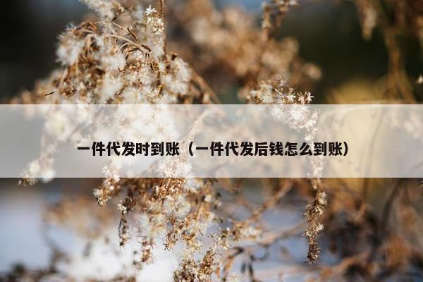 一件代发时到账（一件代发后钱怎么到账）