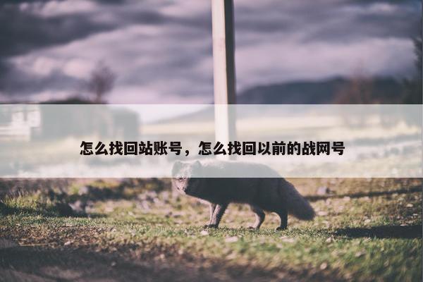 怎么找回站账号，怎么找回以前的战网号