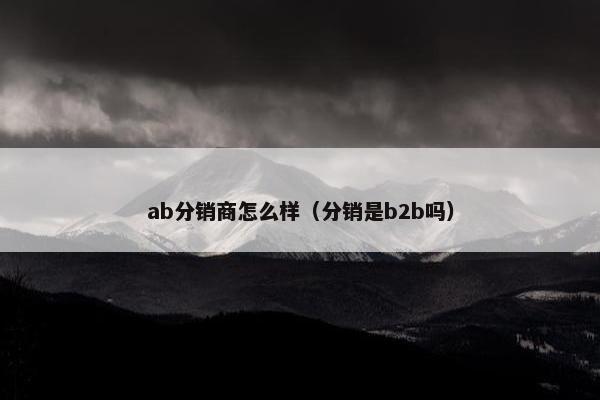 ab分销商怎么样（分销是b2b吗）