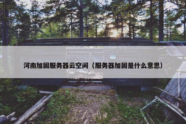 河南加固服务器云空间（服务器加固是什么意思）