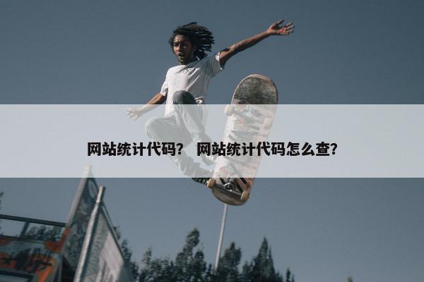 网站统计代码？ 网站统计代码怎么查？