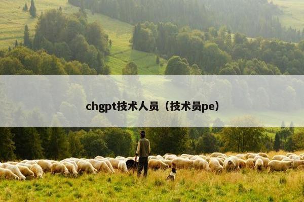 chgpt技术人员（技术员pe）