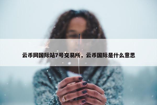 云币网国际站7号交易所，云币国际是什么意思