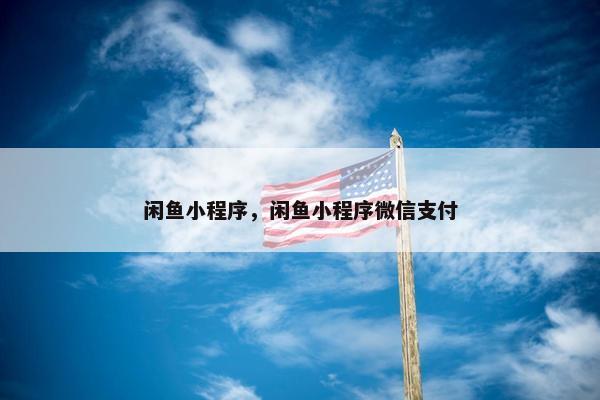 闲鱼小程序，闲鱼小程序微信支付