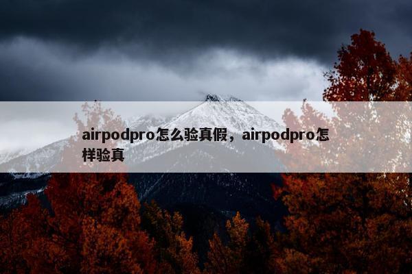 airpodpro怎么验真假，airpodpro怎样验真