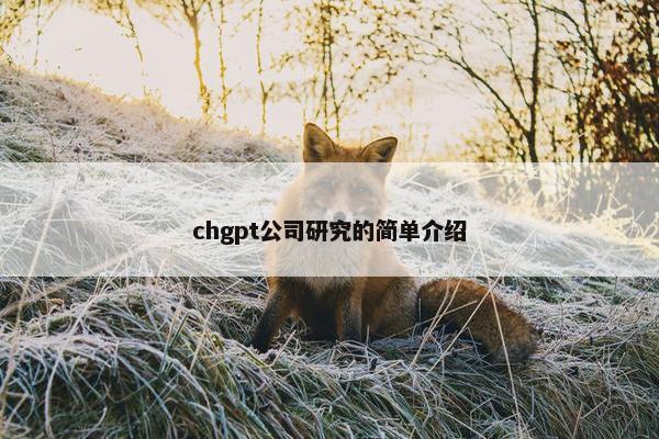 chgpt公司研究的简单介绍