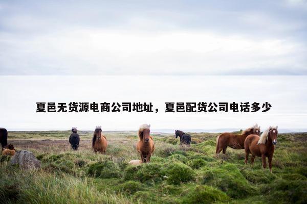 夏邑无货源电商公司地址，夏邑配货公司电话多少